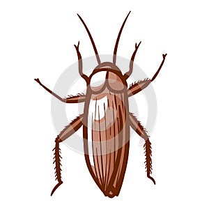 Cockroach hand drawn icon. Insect, home, house parasite pictogram. Pest control, disinfection services.