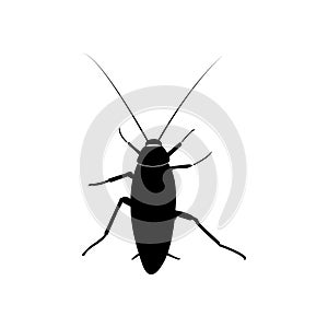 cockroach icon