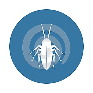 cockroach icon. Element of insect icons for mobile concept and web apps. Badge style cockroach icon can be used for web and mobile