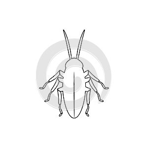 cockroach icon. Element of insect for mobile concept and web apps icon. Thin line icon for website design and development, app