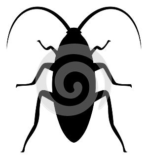 Vector Cockroach Flat Icon Symbol photo