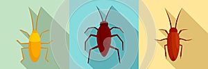 Cockroach icons set, flat style