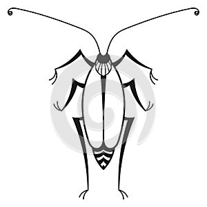 Cockroach ink drawing. Pest icon. Natural animal