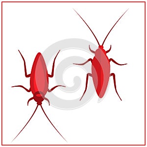 Cockroach insect icons set, Vector Illustration. Red Cockroach.