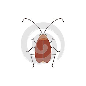Cockroach insect stands and looks, back view, funny brown bug with antennae, vector cartoon pest parasite illustration