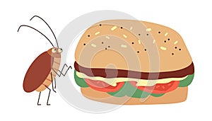 Cockroach insect stands near the hamburger, funny brown pest parasite bug wants to eat human food vector illustration