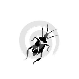 Cockroach insect vector icon, Cockroach silhouette close up isolated on white background