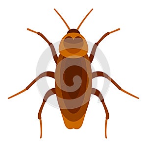 Cockroach insect on white background flat style vector illustration