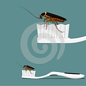 A cockroach is occupying a toothbrush on transparent background