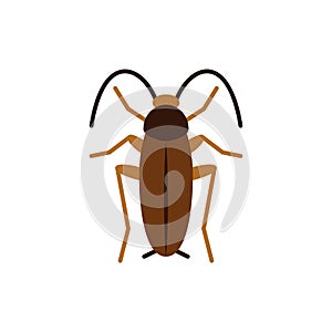 Cockroach roach pest single flat color vector icon