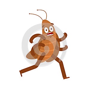 Cockroach running isolated. House beetle run. vector illustration