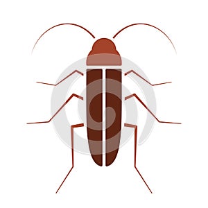 Cockroach vector icon