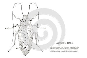 Cockroach on white background. Insects symbol stock illustration. Abstract polygonal image mash line and point. Digital graphics