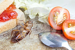 Cockroaches lying dead on the cutting board wood.The problem in the house because of cockroaches living in the kitchen.Cockroach e