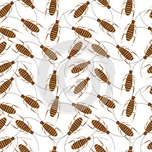 Cockroaches seamless pattern