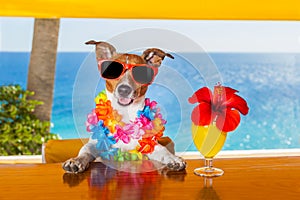 Cocktail dog