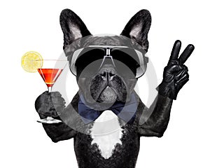 Cocktail dog