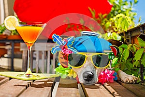 Cocktail drink dog summer holiday vacation on balcony