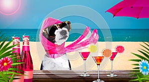 Cocktail drink dog on  summer holiday vacation a the beach club bar