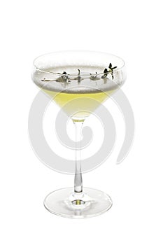 Cocktail drink isolated