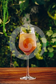 Cocktail drink served