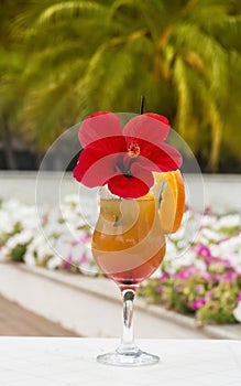 Cocktail with a flower on a background of palm trees