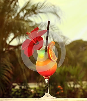 Cocktail with a flower on a background of palm trees