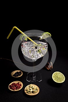 Cocktail of gin and tonic on a black background with his ingreedientes