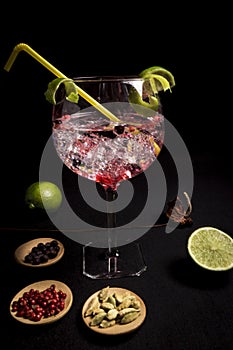 Cocktail of gin and tonic on a black background with his ingreedientes