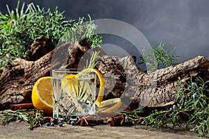 Cocktail gin-tonic with lemon, cinnamon, anise, and juniper berries