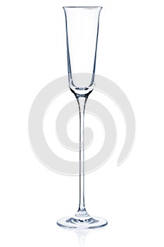 Cocktail Glass Collection - Champagne