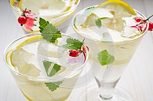 cocktail with ice in the glasses decorated with mint and red berries/cocktail with ice in the glasses decorated with mint and red