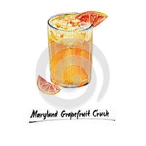 Cocktail Maryland grapefruit crush, watercolor illustration