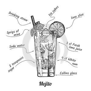 Cocktail mojito and its ingredients