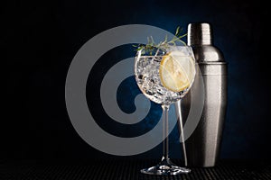 Cocktail shaker and gin tonic cocktail