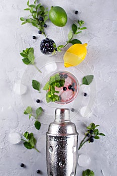Cocktail shaker, lemon, lime, mint leaves blueberry and ice for preparing cocktail