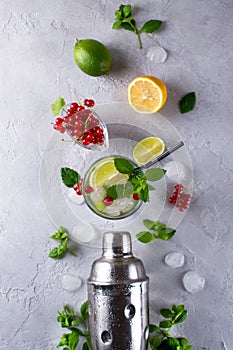 Cocktail shaker, lemon, lime, mint leaves , red currant and ice