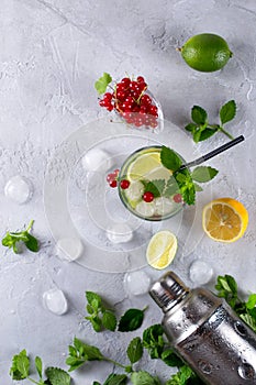 Cocktail shaker, lemon, lime, mint leaves , red currant and ice for preparing cocktail