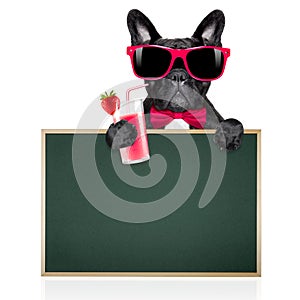 Cocktail smoothie dog
