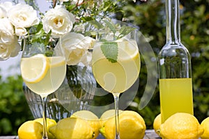 Cocktail summer party