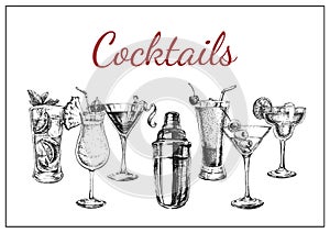 Cocktails and Alcohol Drinks Vector Hand Drawn Illustration