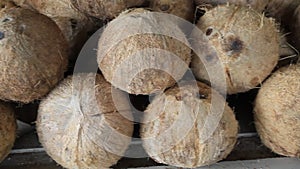 Coco Fruit on a raw ready to sale for using a coconut milk for cooking recipe