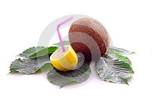 Coco, lemon and leaf isolated