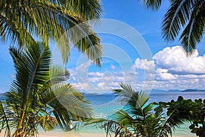 Coco palm leaf and turquoise blue sea water landscape. Tropical greenery and white sand beach view. Exotic sea vacation