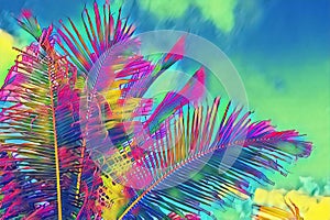 Coco palm tree crown on sky background. Psychedelic palm leaf on vivid sky. Tropical vacation digital illustration.