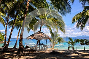 Coco palm tree and exotic seashore on sunny day. Tropical island paradise photo. Rustic hut on white sand beach