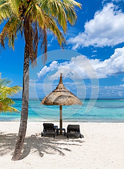 Coco palm in tropical beach and umbrellas in white sand in Mauritius island.