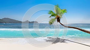 Coco palms over tropical beach and turquoise sea