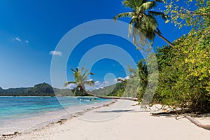 Coco palms on tropical beach