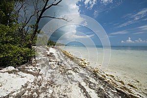 Coco plum beach florida keys
